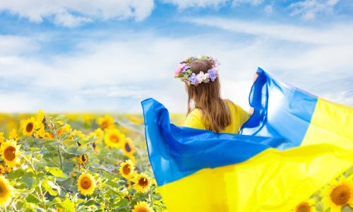 Pray for Ukraine. Child with Ukrainian flag in sunflower field. Little girl waving national flag praying for peace. Happy kid celebrating Independence Day.